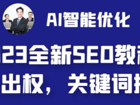 2023最新网站AI智能优化SEO教程，简单快速出权重，AI自动写文章+AI绘画配图