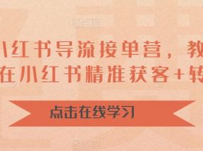 16天-小红书 导流接单营，教你引爆流量，在小红书精准获客+转化成交