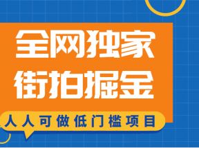 全网独家一街拍掘金，低门槛人人可做的赚钱项目