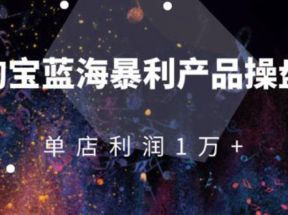 淘宝蓝海暴利产品操盘教程：从零到单店利润10000+详细实操