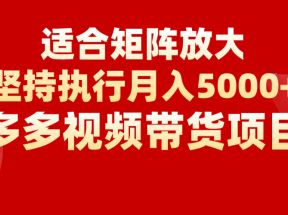 矩阵操作月入5000+，多多视频带货项目，适合新手，也适合老手放大