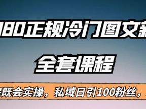 外面卖980的正规冷门图文新玩法，私域日引100粉丝，变现200+