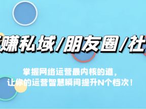 玩赚私域/朋友圈/社群，掌握网络运营最内核的道，让你的运营智慧瞬间提升N个档