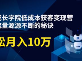 素宣成长学院低成本获客变现营，教你流量源源不断的秘诀，轻松月入10万