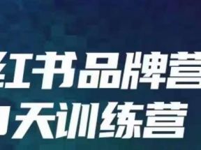 小红书品牌60天训练营第6期，GMV2亿级品牌老板都在学，教会你内容营销底层逻辑