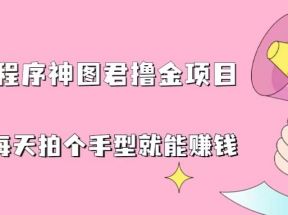 抖音小程序神图君撸金项目，用手机每天拍个手型挂载一下小程序就能赚钱