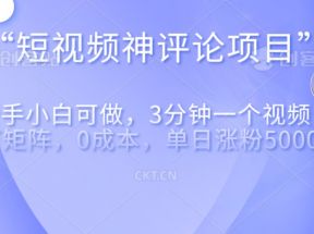 短视频神评论，一天收益500+，新手小白也可操作，长期项目，纯利润