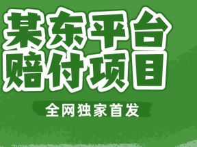 某东平台赔付项目 -全网独家首发