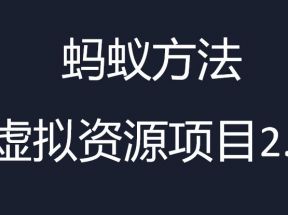 虚拟资源掘金课，虚拟资源的全套玩法 价值1980元