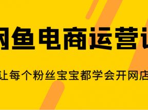 闲鱼电商运营课，让每个粉丝宝宝都学会开网店