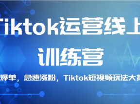 Tiktok运营线上训练营，引流爆单，急速涨粉，Tiktok短视频玩法大揭秘！