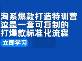 淘系爆款打造特训营：这是一套可复制的打爆款标准化流程