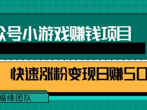 公众号小游戏赚钱玩法，快速涨粉变现日赚500+【视频课程】