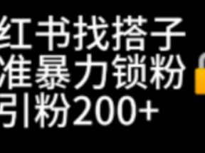 小红书找搭子暴力精准锁粉+引流日引200+精准粉