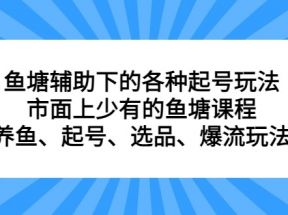 鱼塘辅助下的各种起号玩法，市面上少有的鱼塘课程 养鱼 起号 选品 爆流...