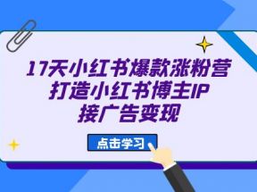 17天 小红书爆款 涨粉营（广告变现方向）打造小红书博主IP、接广告变现