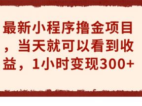 最新小程序撸金项目，当天就可以看到收益，1小时变现300+