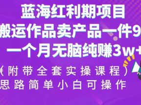 蓝海红利期项目，搬运作品卖产品一件9.9，一个月无脑纯赚3w+！（全套实操课程）