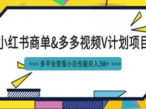 小红书商单最新升级玩法结合多多视频v计划多平台变现