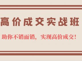 高价成交实战班，助你不销而销，实现高价成交，让客户追着付款的心法技法！