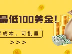 单号最低100美金，零成本，小白无脑操作。可复制，可扩大。