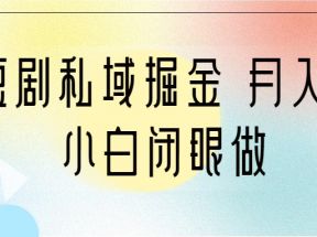 靠短剧私域掘金 月入5W 小白闭眼做（教程+2T资料）