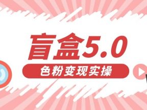 盲盒交友变现5.0（色粉变现）日入500+