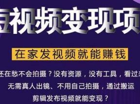 在家也能操作的短视频赚钱项目，无需真人，不用拍摄，纯搬运月入2到5万