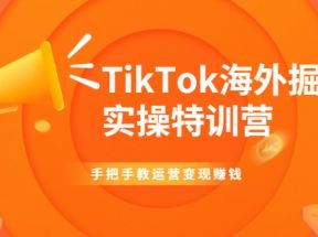 TikTok海外掘金实操特训营：手把手教运营变现赚钱【视频课程】