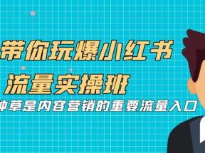 5天带你玩爆小红书流量实操班，小红书种草是内容营销的重要流量入口