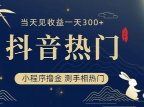 抖音最新小程序撸金，测手相上热门，当天见收益一小时变现300+