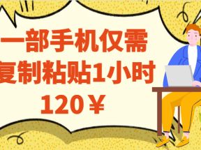 一部手机仅需复制粘贴1小时120￥