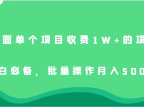 外面单个项目收费1W+的项目，小白必备，批量操作月入5000+