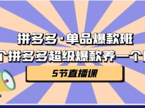 拼多多·单品爆款班，一个拼多多超级爆款养一个团队（5节直播课）