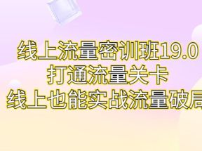 线上流量密训班19.0，打通流量关卡，线上也能实战流量破局