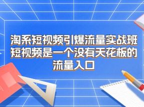 淘系短视频引爆流量实战班，短视频是一个没有天花板的流量入口