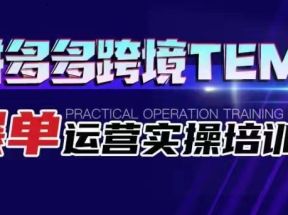 拼多多跨境TEMU爆单运营实操培训班 海外拼多多的选品、运营、爆单