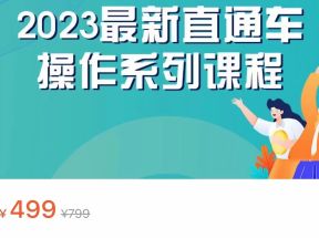 2023最新引力魔方系列课程，如何利用直通车去冲销量