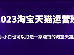 2023淘宝天猫运营班，新手小白也可以打造一家赚钱的淘宝天猫店铺