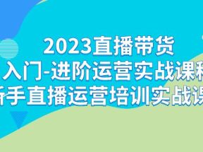 2023直播带货入门-进阶运营实战课程：新手直播运营培训实战课