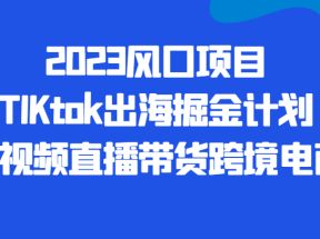 2023风口项目TIKtok出海掘金计划短视频直播带货跨境电商