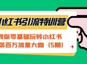 小红书引流特训营-第5期：教你零基础玩转小红书，逆袭百万流量大咖