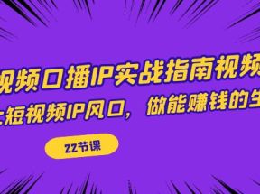 短视频口播IP实战指南视频课，踩上短视频IP风口，做能赚钱的生意（22节课）