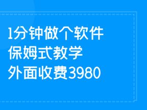 1分钟做个软件  有人靠这个已经赚100W 保姆式教学  外面收费3980