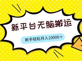 新平台用软件无脑搬运，月赚10000+，小白也能轻松上手