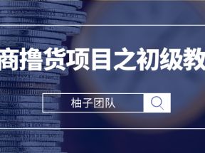 电商撸货项目之初级教程，单撸品牌小样批量起号月入5000+