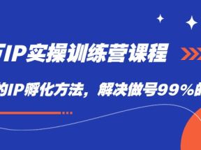 百万IP实战训练营课程，完整的IP孵化方法，解决做号99%的问题