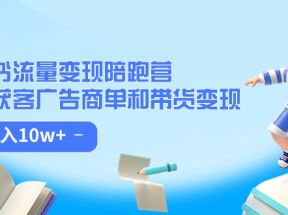 小红书流量·变现陪跑营（第8期）：私域获客广告商单和带货变现 月入10w+