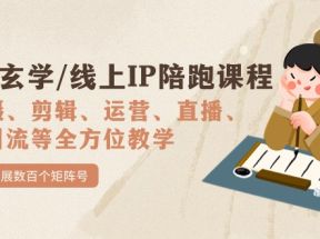 国学/玄学/线上IP陪跑课程，从0-1全方位教学，快速发展数百个矩阵号