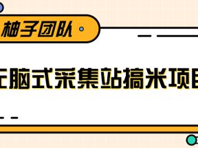 无脑式采集站搞米项目，零基础可批量实现年入百万